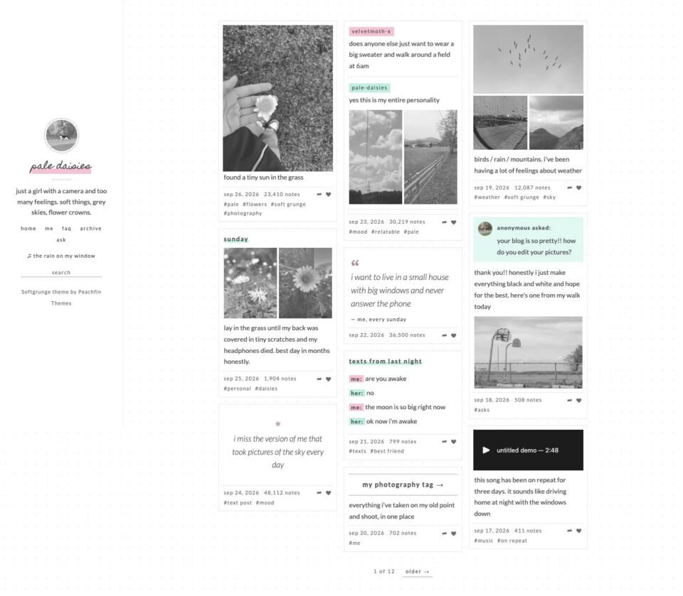 Softgrunge, Home page