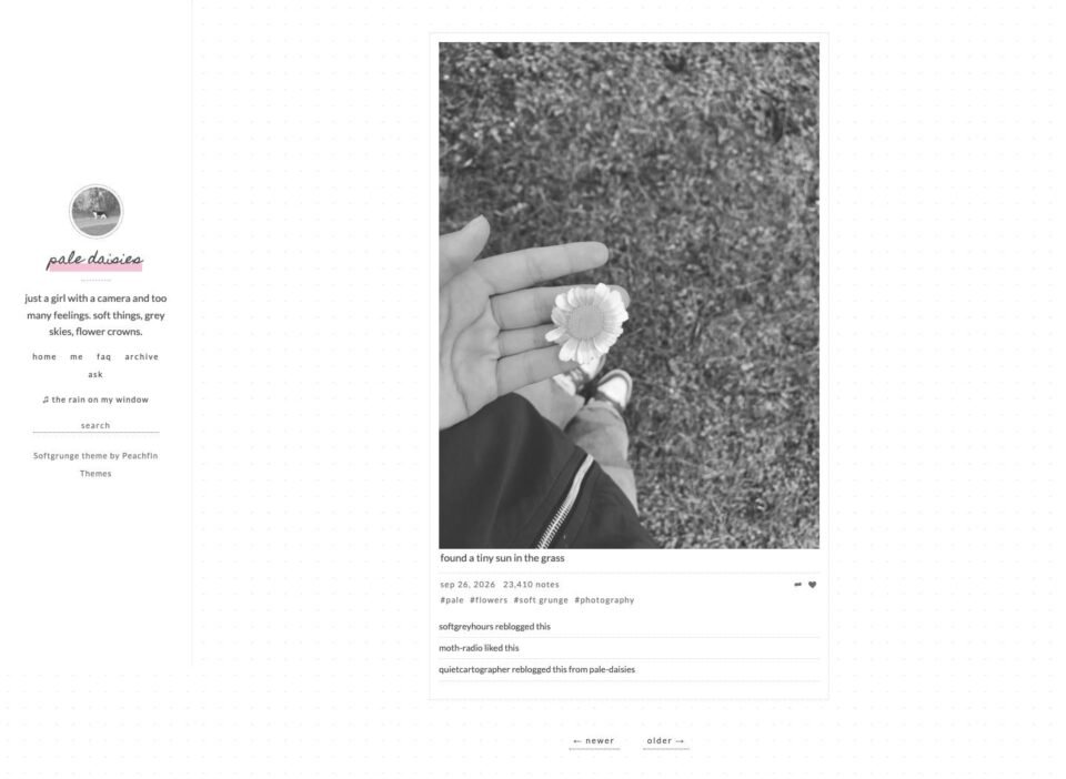 Softgrunge, Post page