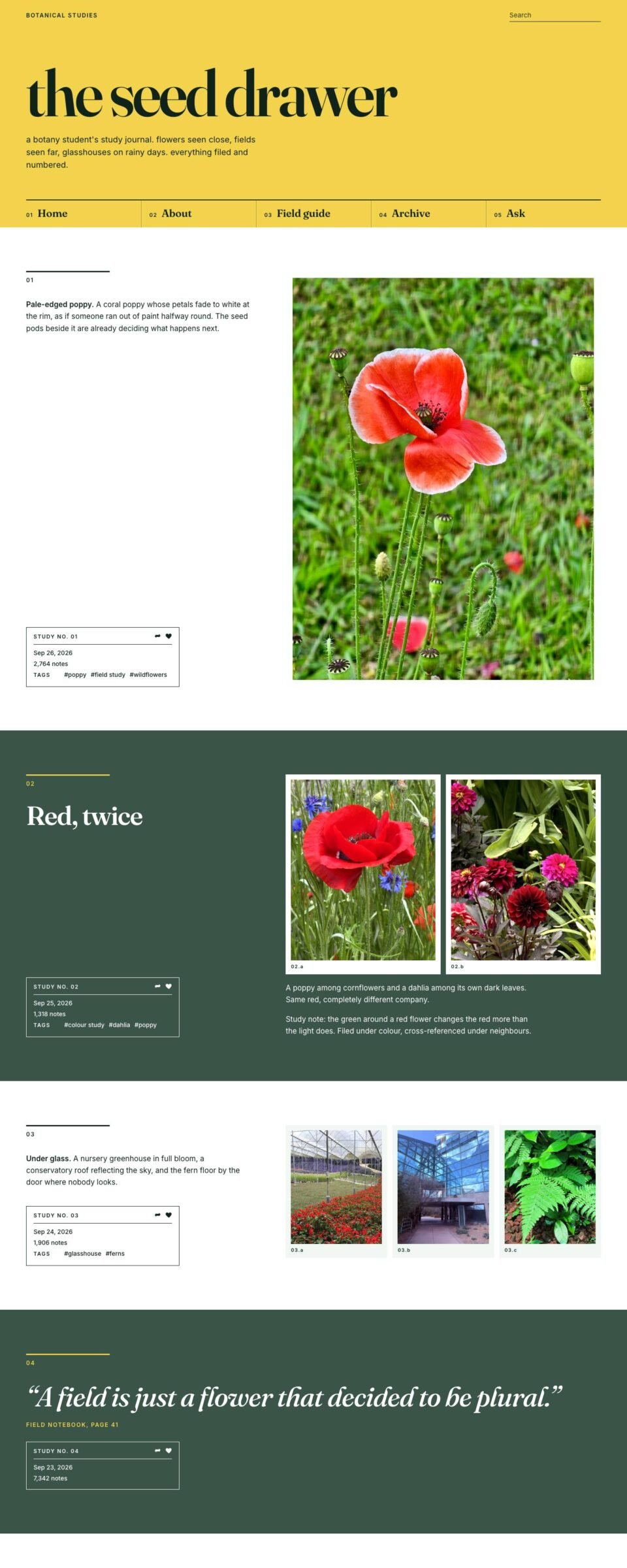 Wildstem, Home page