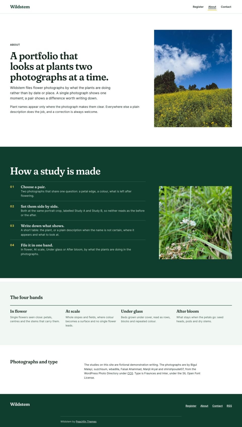 Wildstem, About page