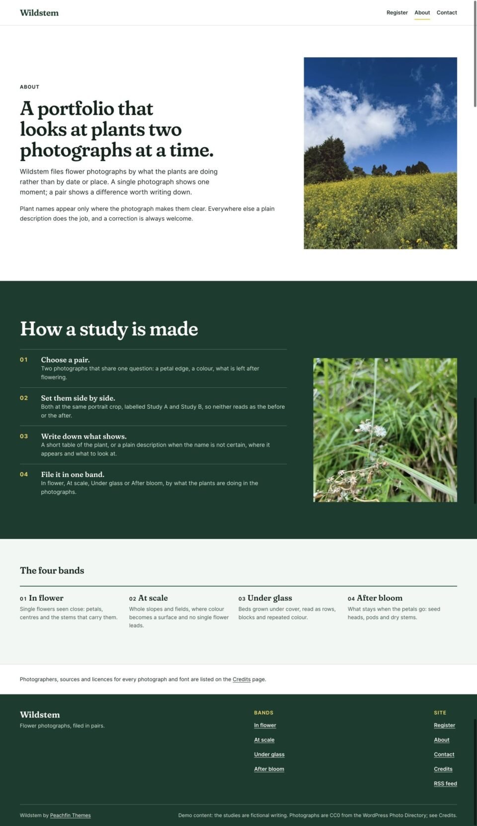 Wildstem, About page