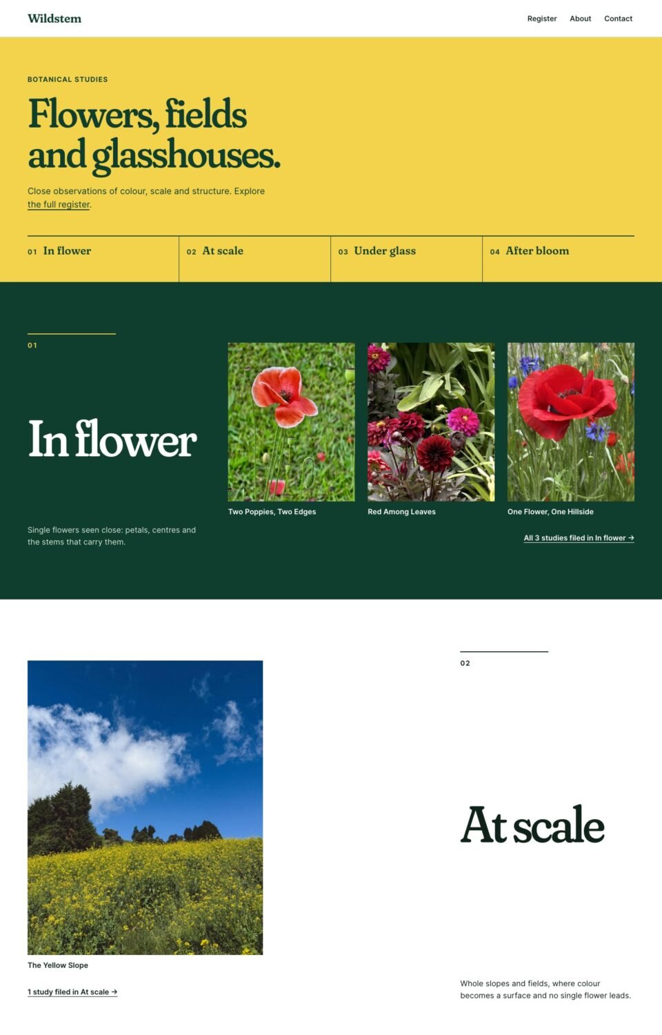 Wildstem, Home page